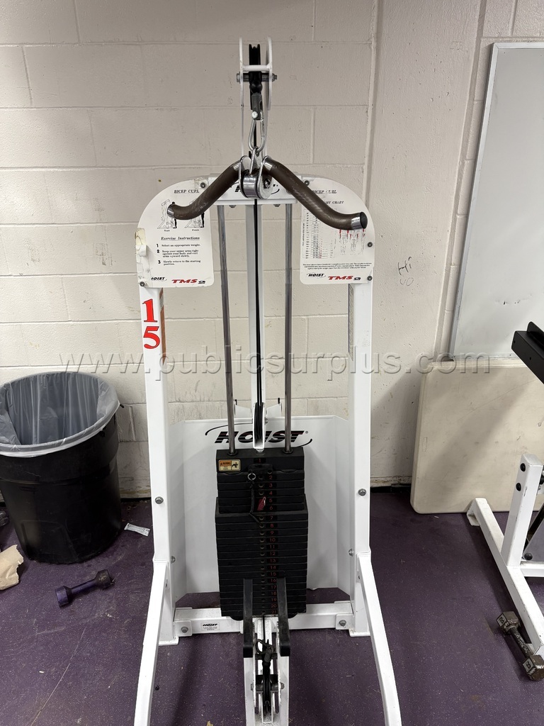 Hoist Bicep Curl / Triceps Extension TMS 2 (1 of 2) - Government ...