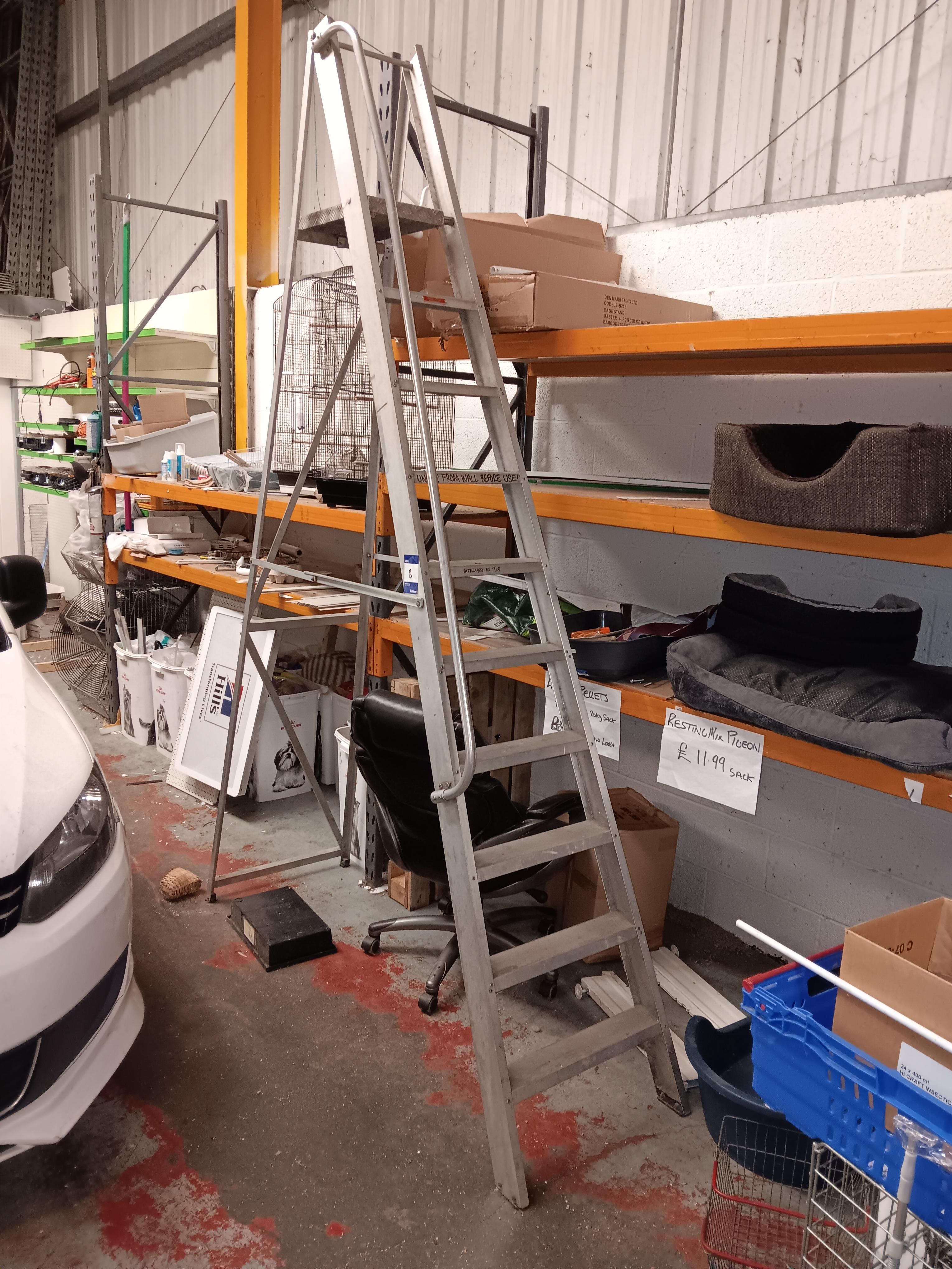 Aluminium 10-Tread Step Ladder — photo 1