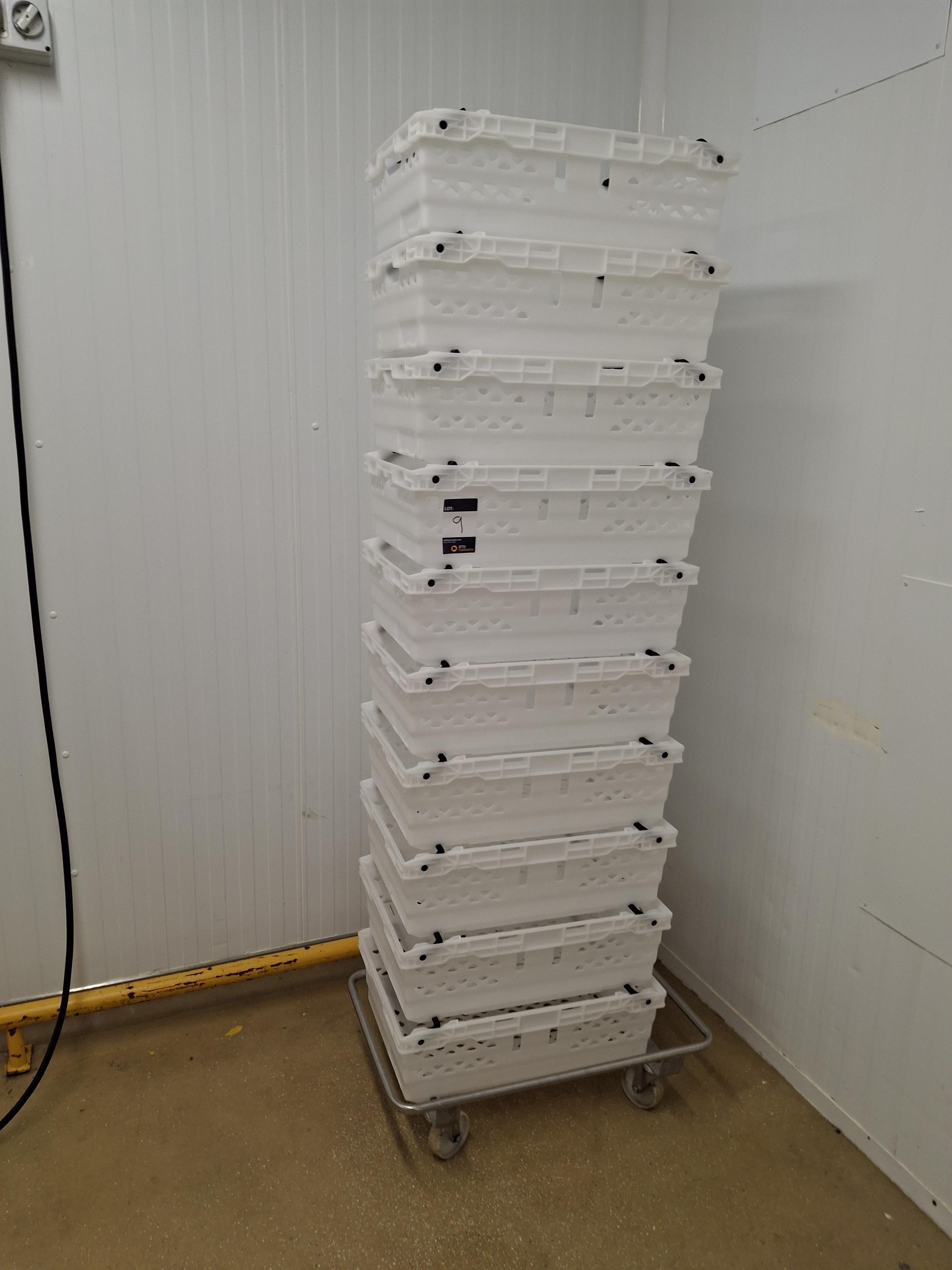 Mobile dolly with 10 stackable crates — photo 1