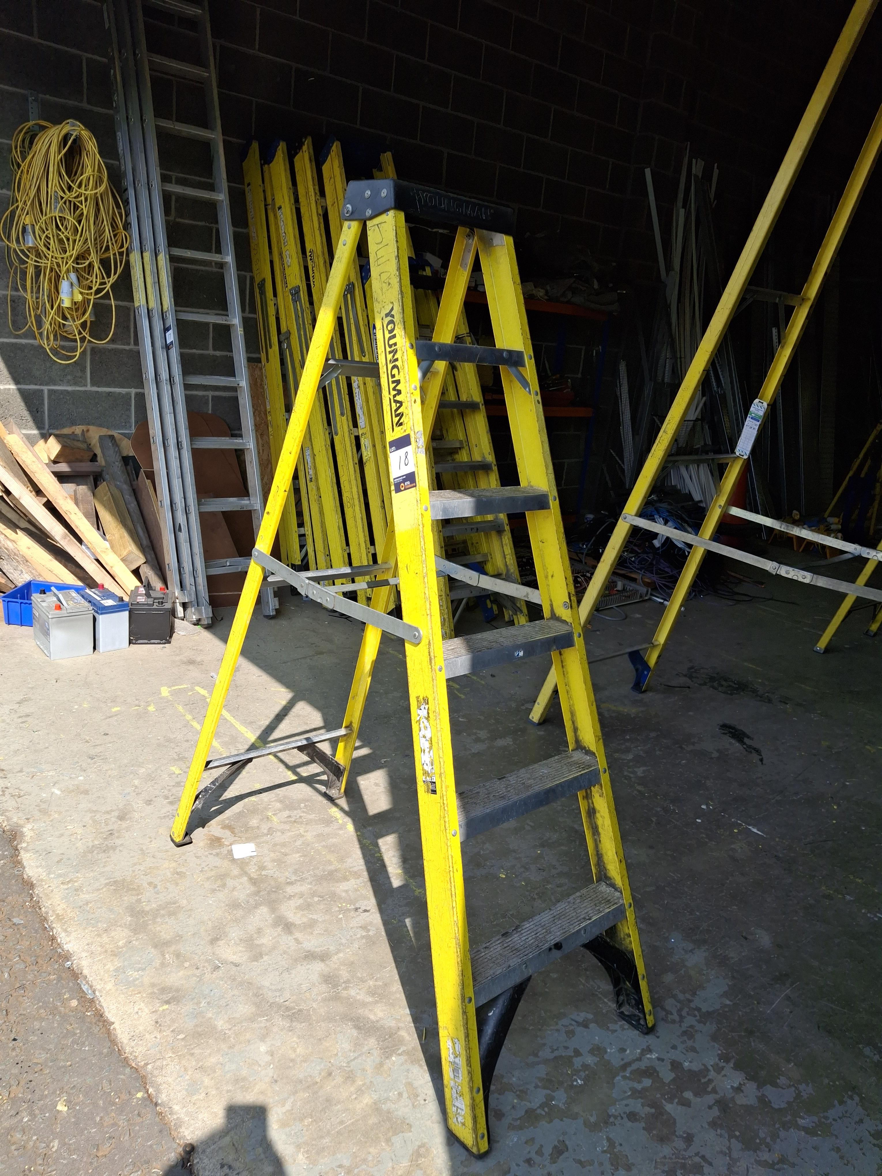 Youngman 6 tread fibreglass ladder - photo 1