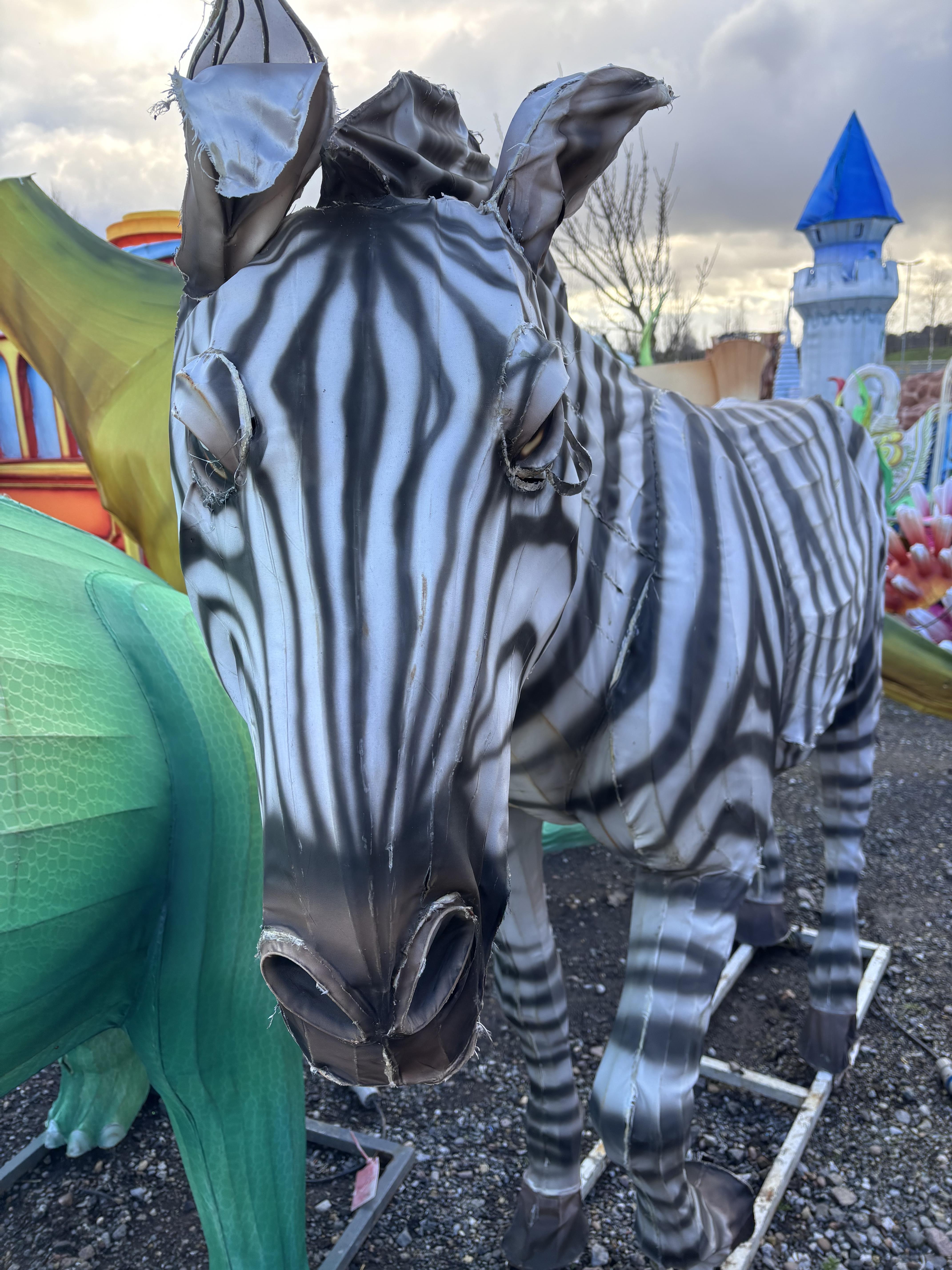 Zebra, No Reserve - photo 1