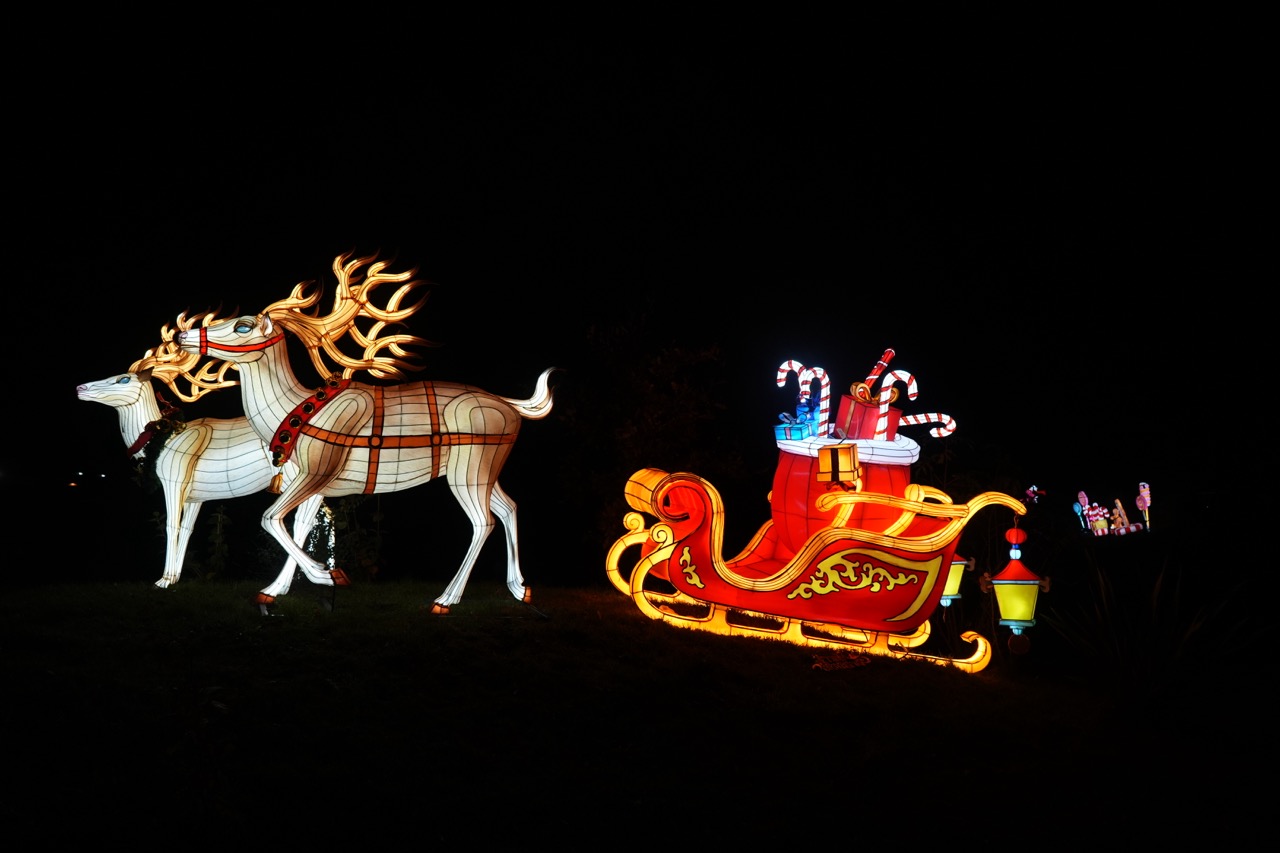 Reindeer with Sleigh - photo 1