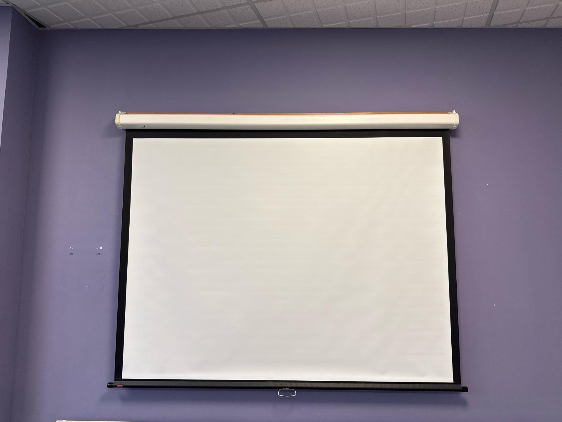 Draper Pull Down Projector Screen - photo 1