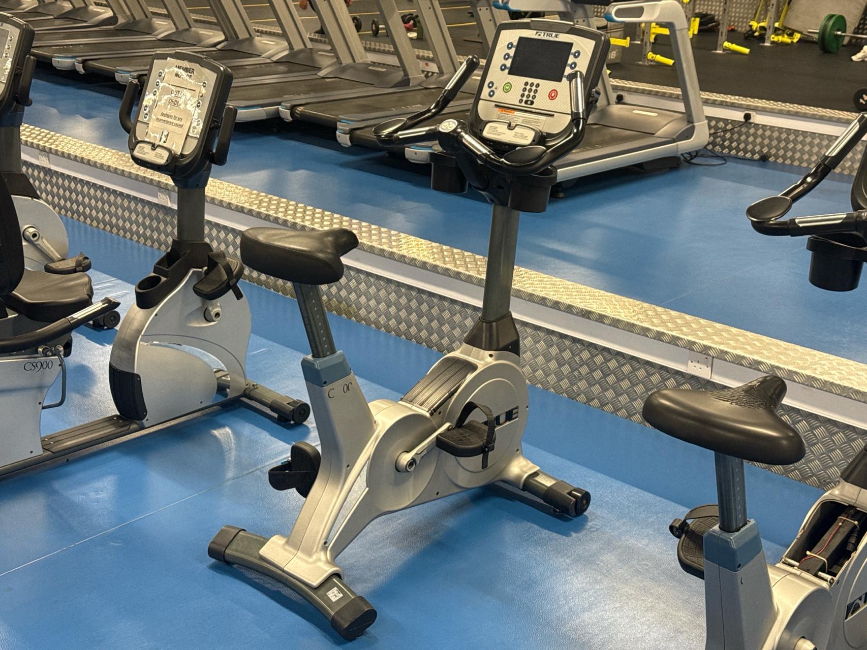 True Fitness Exercise Bike - photo 1