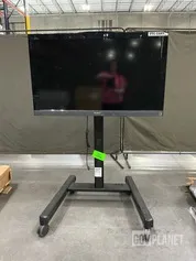 Sony Bravia Television w/Stand