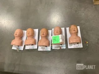 (5) Simulaids Manikin Trainers