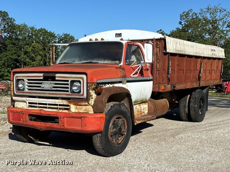 1974 Chevrolet C60 Grain Truck - photo 1