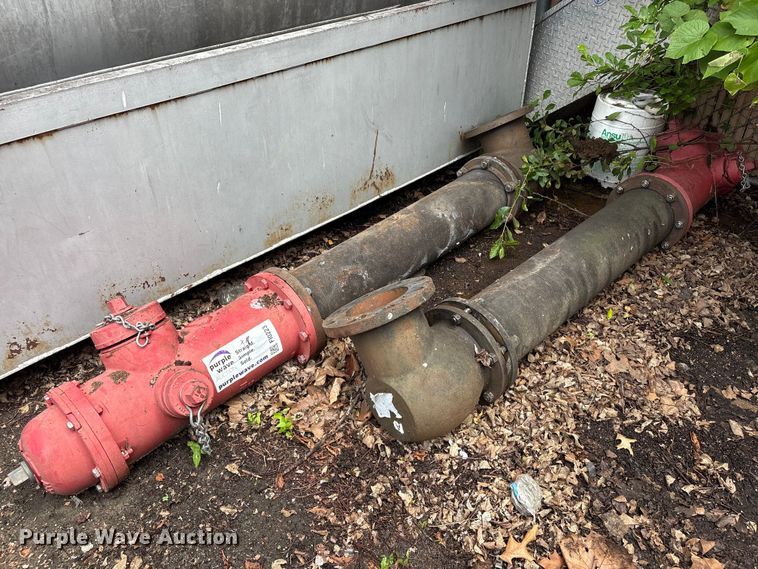 (3) Fire Hydrants - photo 1