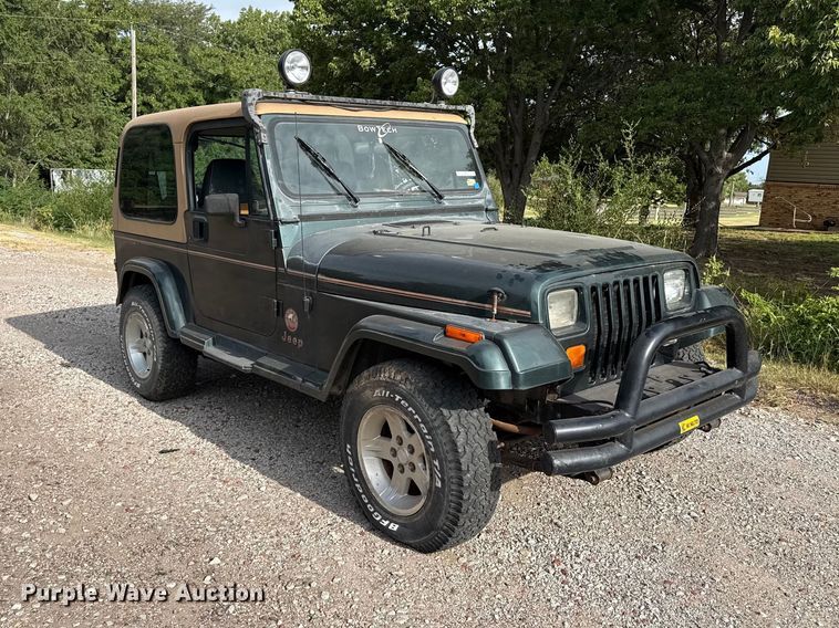 1993 Jeep Wrangler SUV - photo 3