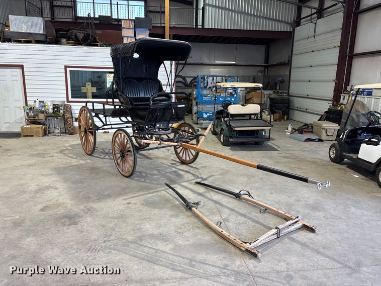 Horse Drawn Carriage - photo 3