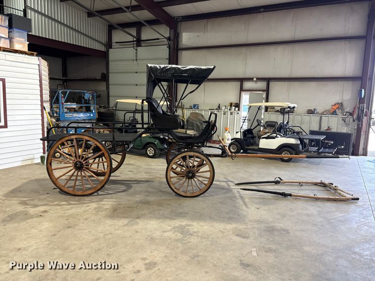 Horse Drawn Carriage - photo 4