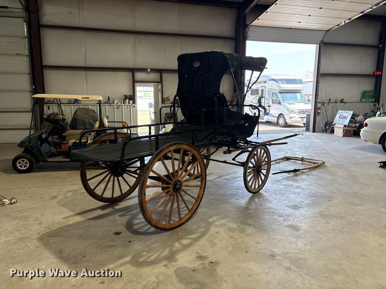 Horse Drawn Carriage - photo 5