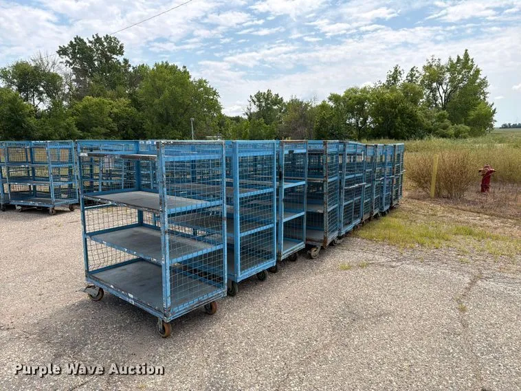 (11) Carts