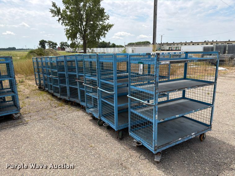 (11) Carts - photo 3
