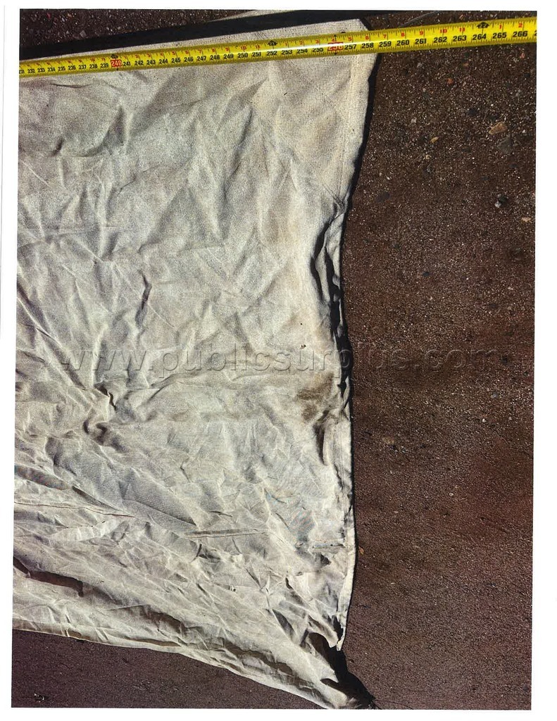 Shade Cloth and Heavy Duty Steel Frame 14'x22' — photo 1