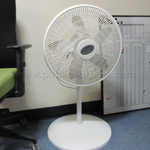 Large Fan — photo 1