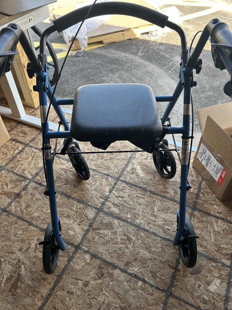 WALKER (BLUE) 1 — photo 1