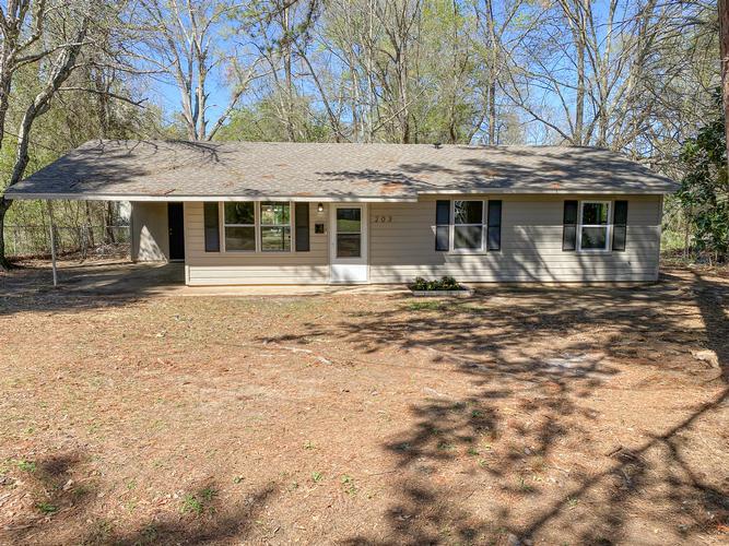 203 ELAM STREET, MANSFIELD, LA - photo 1