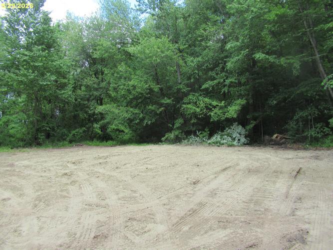 289 LOWER SANDYHILL RD, WESTFIELD, MA - photo 1