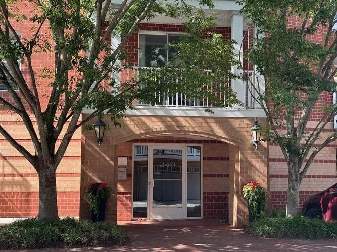 249 W FREEMASON ST #408, NORFOLK, VA