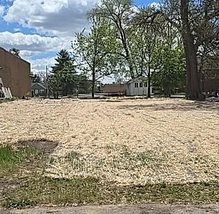 511 CHERRY PLACE, LOVES PARK, IL