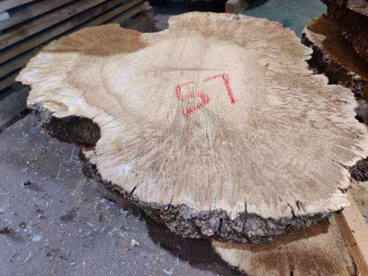 Heavily Burred English Oak Coffee Table Blanks Ave Width 600mm x 80mm Thick - photo 1