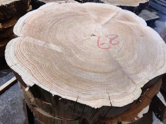 Western Red Cedar Coffee Table Blanks Ave Width 700mm x 90mm Thick - photo 1