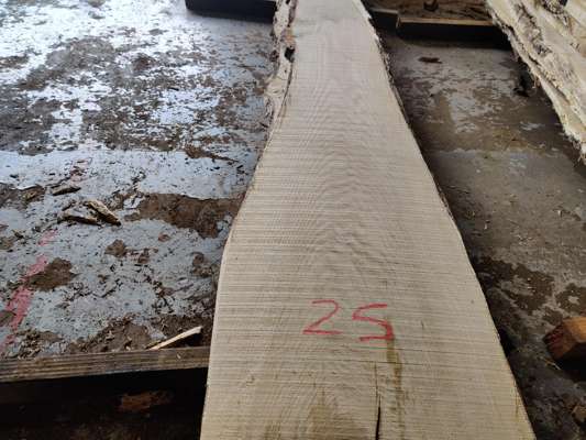 English Oak Live Edge Slab 2500mm Long x 350mm Ave Width x 25mm Thick - photo 1