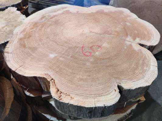 Western Red Cedar Coffee Table Blanks Ave Width 700mm x 90mm Thick - photo 1