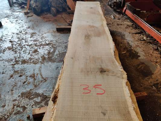 English Oak Live Edge Slab 2410mm Long x 430mm Ave Width x 40mm Thick - photo 1