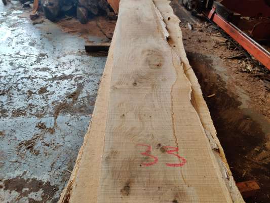 English Oak Live Edge Slab 2160mm Long x 290mm Ave Width x 25mm Thick - photo 1
