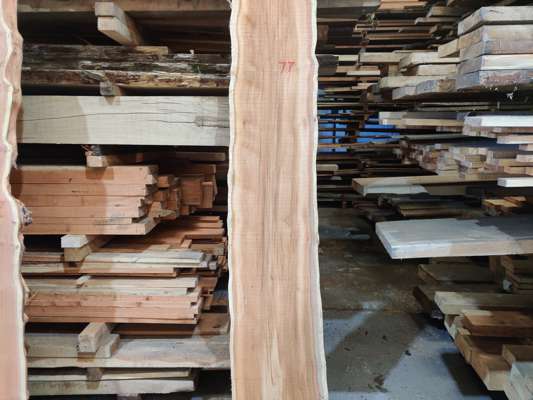 Yew Live Edge Slab 2220mm Long x 340mm Ave Width x 40mm Thick - photo 1