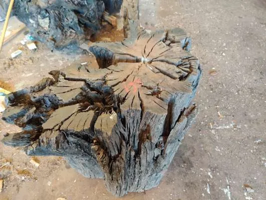 Extremely Rare 4200 Year Old Black Fenland Bog Oak ( With Carbon Dating Certificate) Root Section, 650mm -940mm Width x 530mm Thick, Would Make Superb Glass Top Table.(Viewing Recommended)