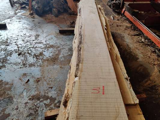 English Oak Live Edge Slab 2320mm Long x 220mm Ave Width x 25mm Thick - photo 1