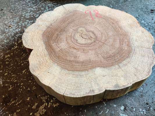 California Redwood Disc 500mm Ave Width x 70mm Thick - photo 1