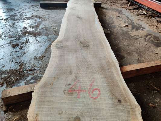 English Oak Catspaw Live Edge Slab 2500mm Long x 380mm Ave Width x 50mm Thick