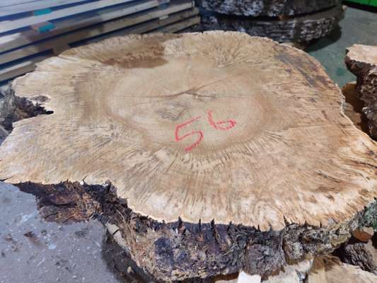Heavily Burred English Oak Coffee Table Blanks Ave Width 600mm x 70mm Thick - photo 1