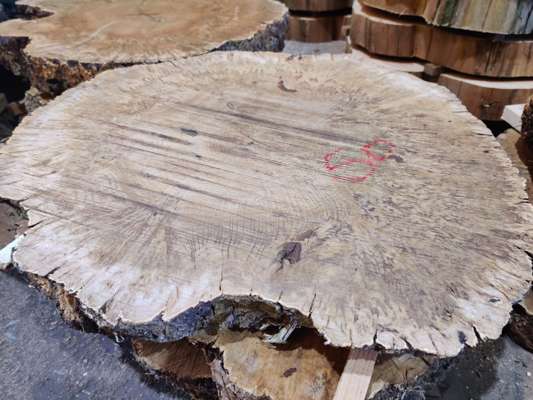 Heavily Burred English Oak Coffee Table Blanks Ave Width 600mm x 60mm Thick - photo 1