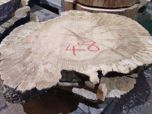 Heavily Burred English Oak Coffee Table Blanks Ave Width 600mm x 80mm Thick - photo 1