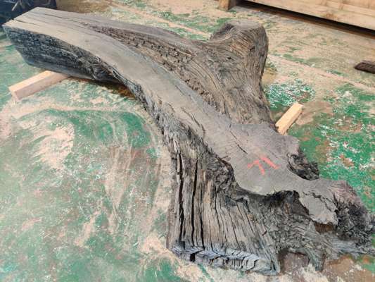 Extremely Rare 4200 Year Old Black Fenland Bog Oak ( With Carbon Dating Certificate) Trunk/Root Section, Length 2.27m x 1.22m Width x 330mm Thick ( Levelled On Both Faces) Would Make Superb Glass Top Table.(Viewing Recommended)