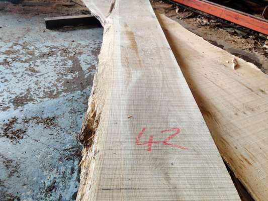 English Oak Catspaw Live Edge Slab 2400mm Long x 300mm Ave Width x 35mm Thick - photo 1