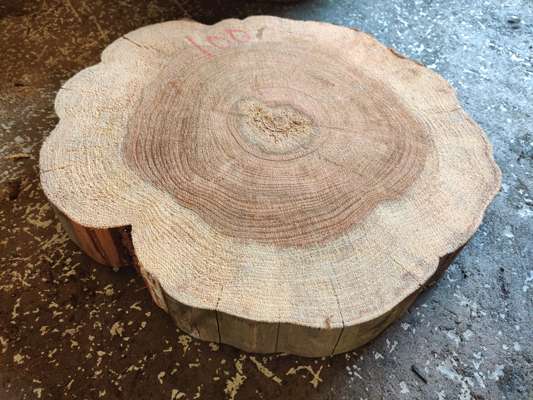 California Redwood Disc 500mm Ave Width x 70mm Thick - photo 1