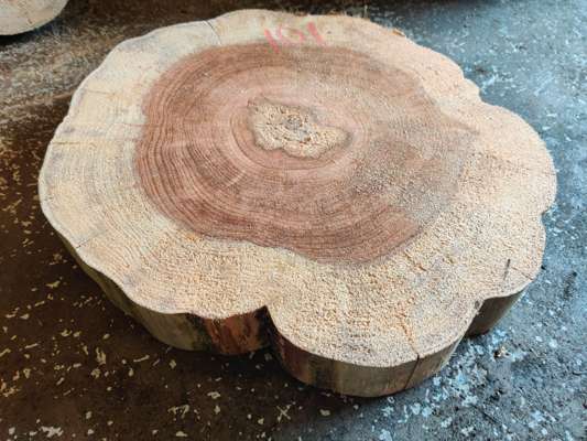 California Redwood Disc 500mm Ave Width x 70mm Thick - photo 1