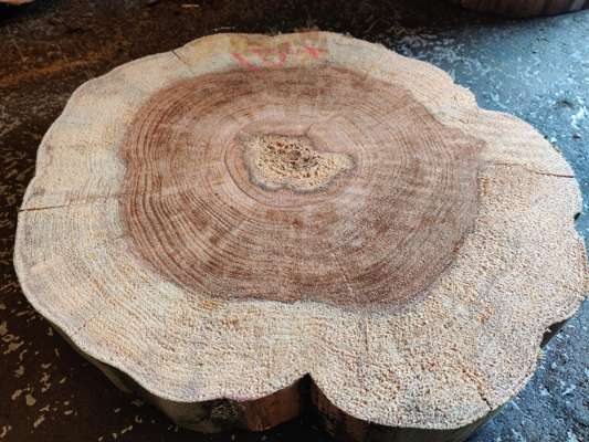 California Redwood Disc 500mm Ave Width x 70mm Thick - photo 1