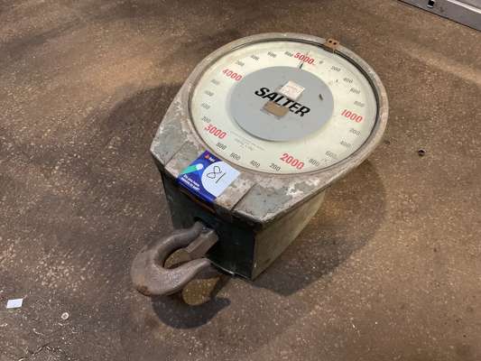 Salter 299 Crane Dial Scale — photo 1
