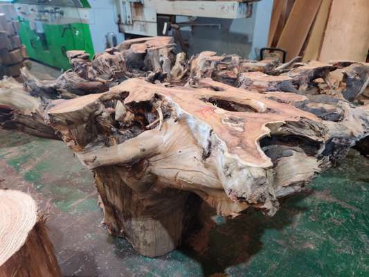 English Yew Root Table, Width 1400mm-1500mm x Height 710mm ( Levelled For Glass Top)
