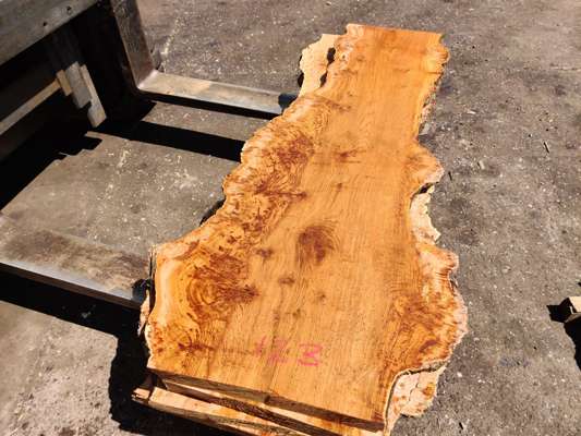 English Oak Burr/Catspaw Live Edge Slab 1500mm Long x 500mm Ave Width x 40mm Thick