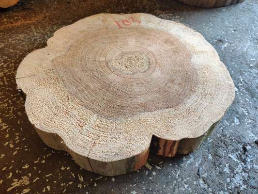 California Redwood Disc 500mm Ave Width x 70mm Thick - photo 1