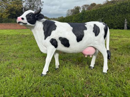 Huge Crated Fibreglass 1.2m Long Realistic Cow Statue - photo 1