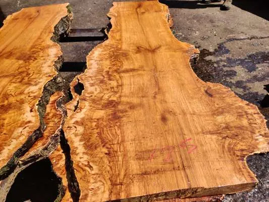 English Oak Burr/Catspaw Live Edge Slab 1500mm Long x 500mm Ave Width x 50mm Thick